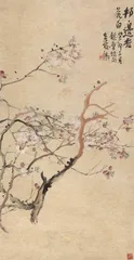 听觉之花0