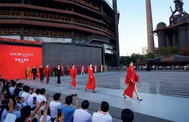 最温暖的羊绒在雪莲 60年市场洗礼她交出满意答卷