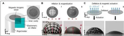 科学家研发全新磁控变形材料不用触碰也能移动物体1
