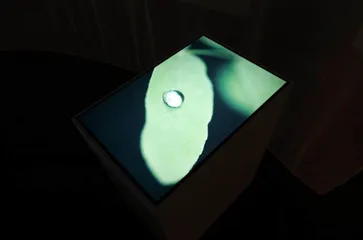川内伦子：在闪烁星芒中捕捉时间的褶皱3