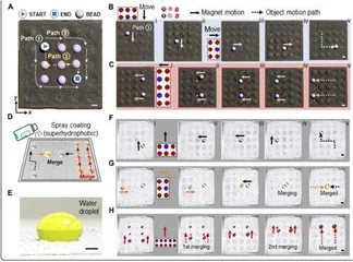 科学家研发全新磁控变形材料不用触碰也能移动物体2