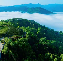 “人不负青山，青山定不负人”