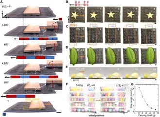科学家研发全新磁控变形材料不用触碰也能移动物体3