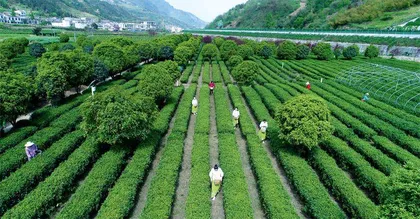 “人不负青山,青山定不负人”2