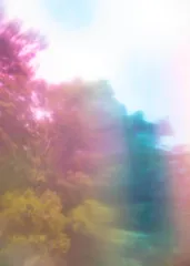 川内伦子：在闪烁星芒中捕捉时间的褶皱7