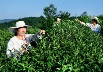 “人不负青山,青山定不负人”4