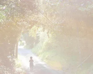 川内伦子：在闪烁星芒中捕捉时间的褶皱9