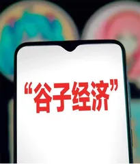 从“谷子经济”看二次元经济崛起 本土文化自强之路1