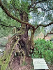 浙江丽水:山水长卷里的千年仙踪 3
