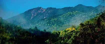 弘扬“岳山造林”光荣传统