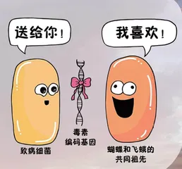 剧毒小虫2