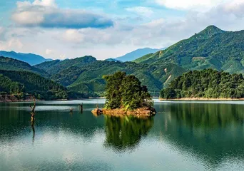 投身新时代绿美广东生态建设新实践