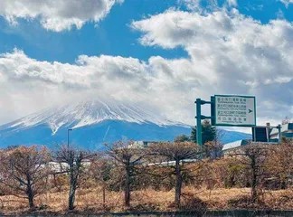在日本逛商场让人“上头”3