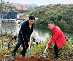 打造绿美广东生态建设“怀集样板”2