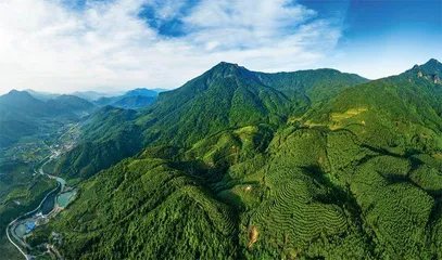 岳山造林半世纪，绿色梦想代代传