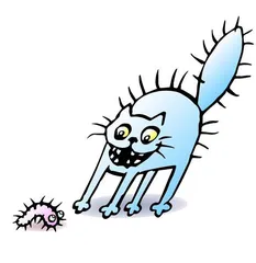 你真的打算养只猫？