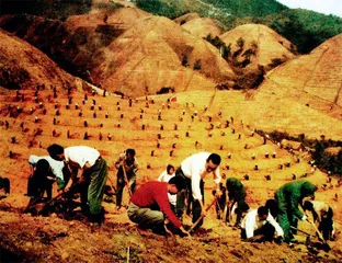 陆国栋：“赤脚部长”攻坚狮子山上1