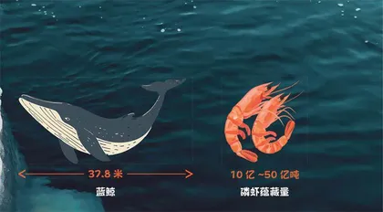 一组南极资源数据