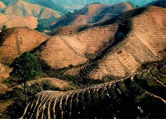 岑树权：“每个山头都留下了我的足迹”
