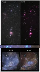 恒星“产房”1