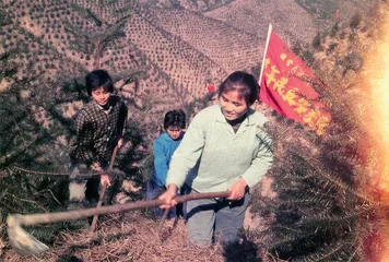 邓柳婵：当年早上5点出发上山造林