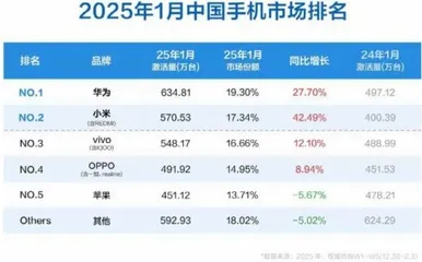 IPO前夜:荣耀的降速与动荡2