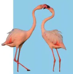 小问答3