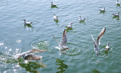 当精密机械遇见数字灵魂　徕卡 SL3-S 三城深度体验1
