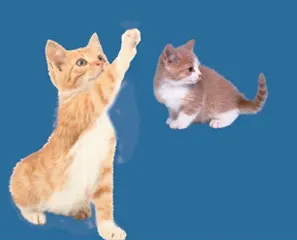 小问答7