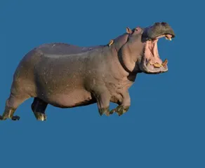小问答8