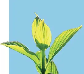 小问答10