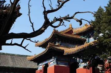 当精密机械遇见数字灵魂 徕卡 SL3-S 三城深度体验4
