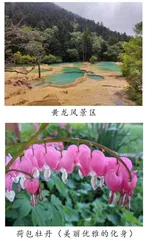 探野撷珍1