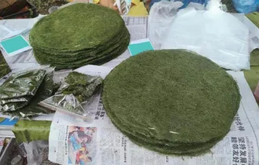 水青苔:不起眼的水中野菜1