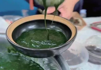 水青苔:不起眼的水中野菜5