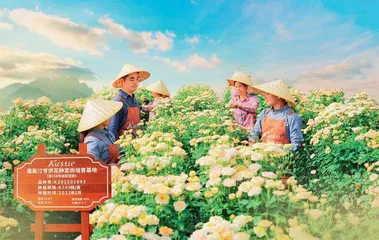 蔻斯汀：长期主义的胜利