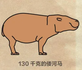 侏儒象和倭河马为何突然消失？