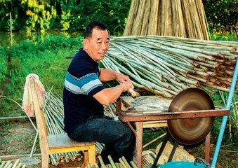 绿美怀集3