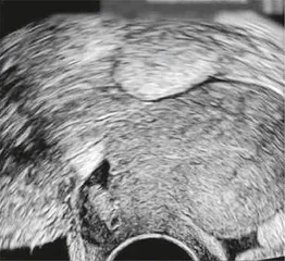 重磅消息2