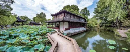 植物美学,参差还是秩序?2