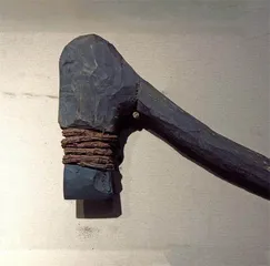 绿色革命还将“逆天改命”?3