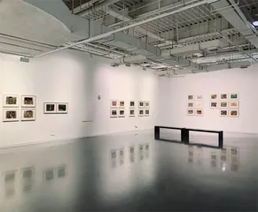 放下画笔,黑泽明用电影圆绘画梦2