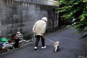 养老开销,先拖垮日本地方?2