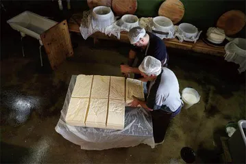奶酪,瑞士味道5