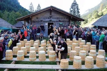 奶酪,瑞士味道11