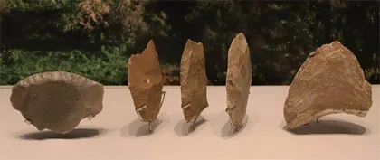 手斧的进化:肉食者敏4