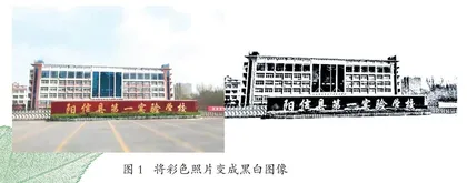 在树叶上作画
