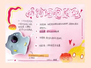 生物模型大比拼