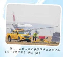 小小飞鸟会造成机毁人亡吗 