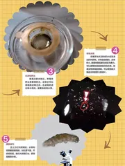 苔藓寻水熊1